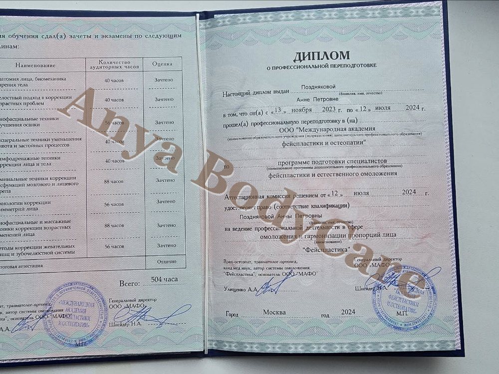 Diploma: Professional Retraining